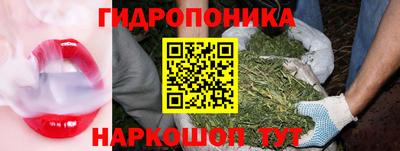крисы Апрелевка