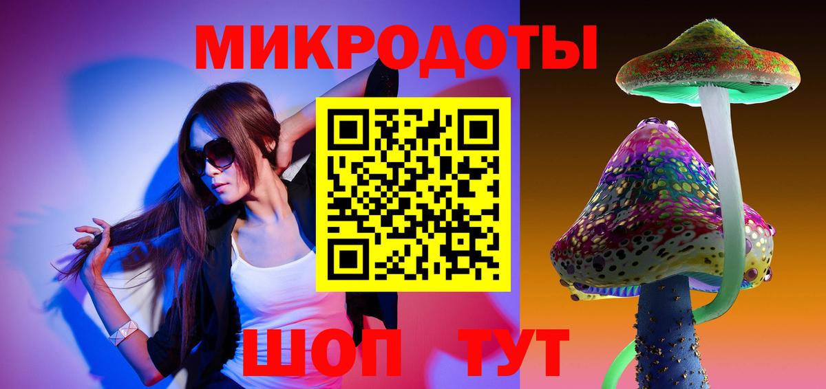 Галлюциногенные грибы Psilocybe Вичуга