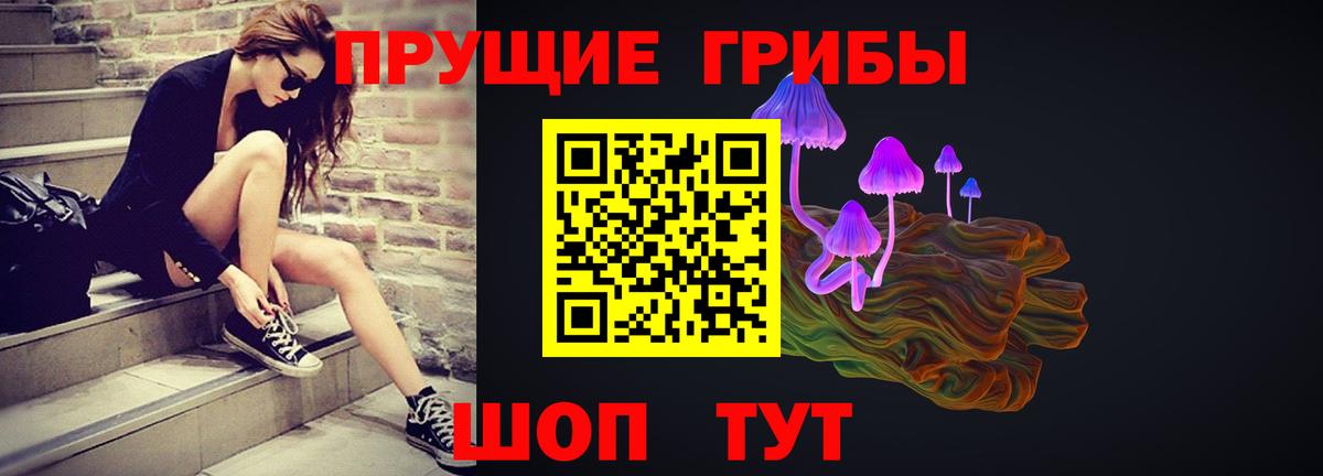 Псилоцибиновые грибы мухоморы  Вход с VPN  Вичуга  цена   Галлюциногенные грибы Magic Shrooms 